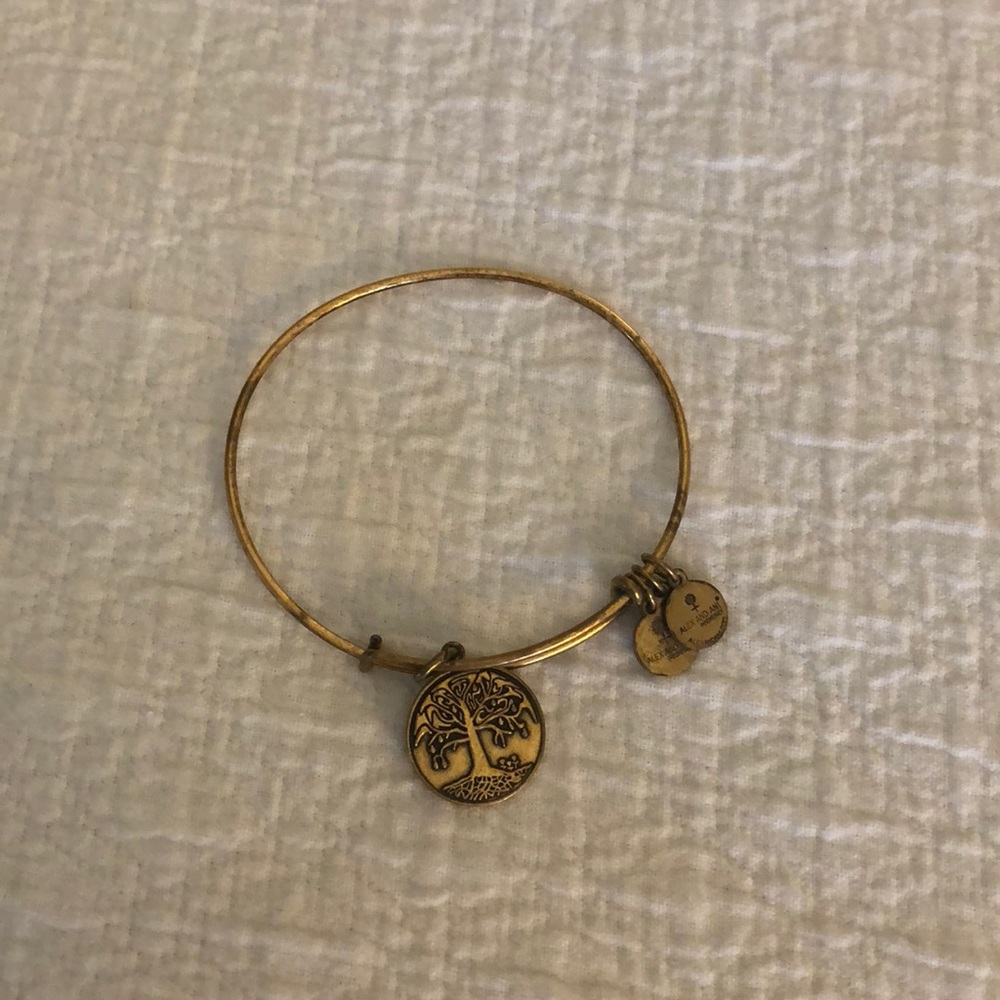 Alex and ani bracelet
